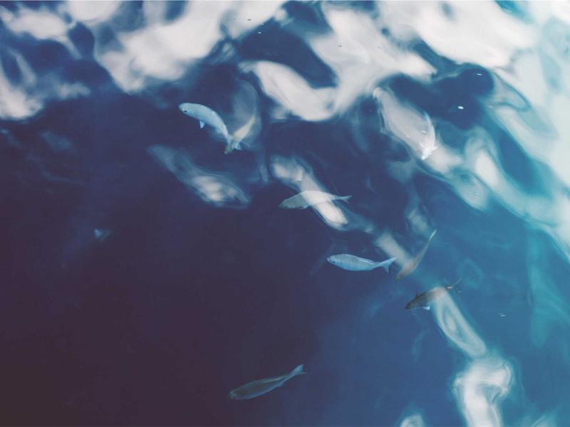 溯源引擎<br>图片/视频反向搜源